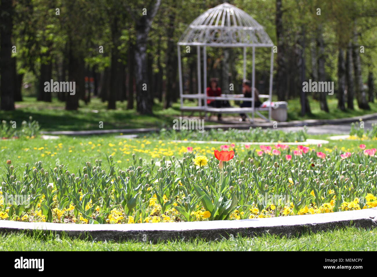 Unrecognizable people walk and relax in the park in springtime. Sunny weather concept. People walk in a park around flowers and blooming orchards Stock Photo