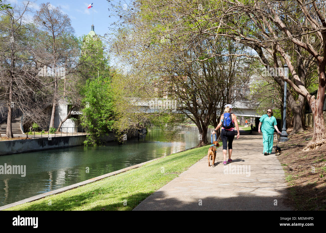 Two people walking the dog by the San Antonio river, San Antonio, Texas USA Stock Photo