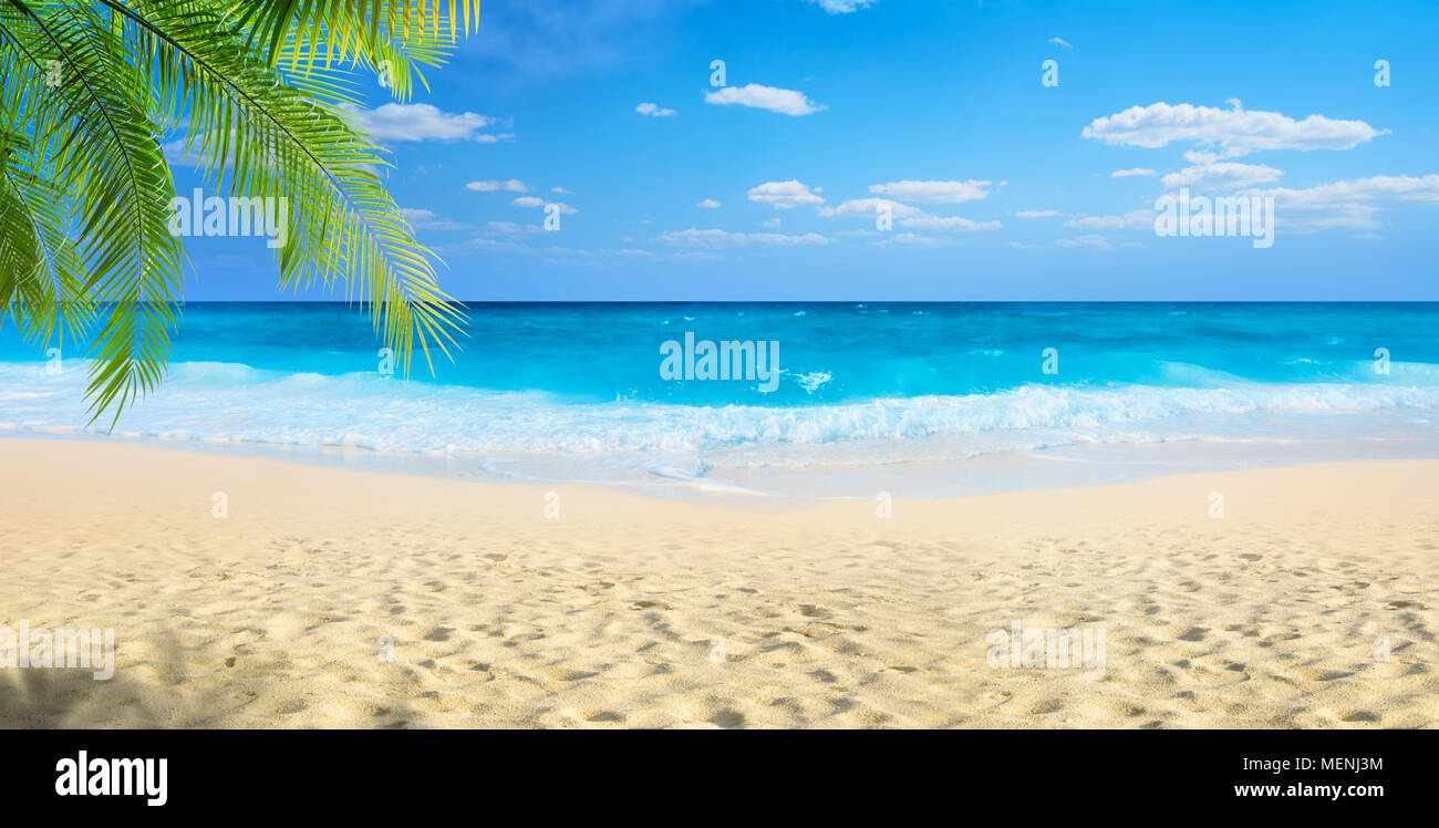 Beach panoramic view Stock Photo