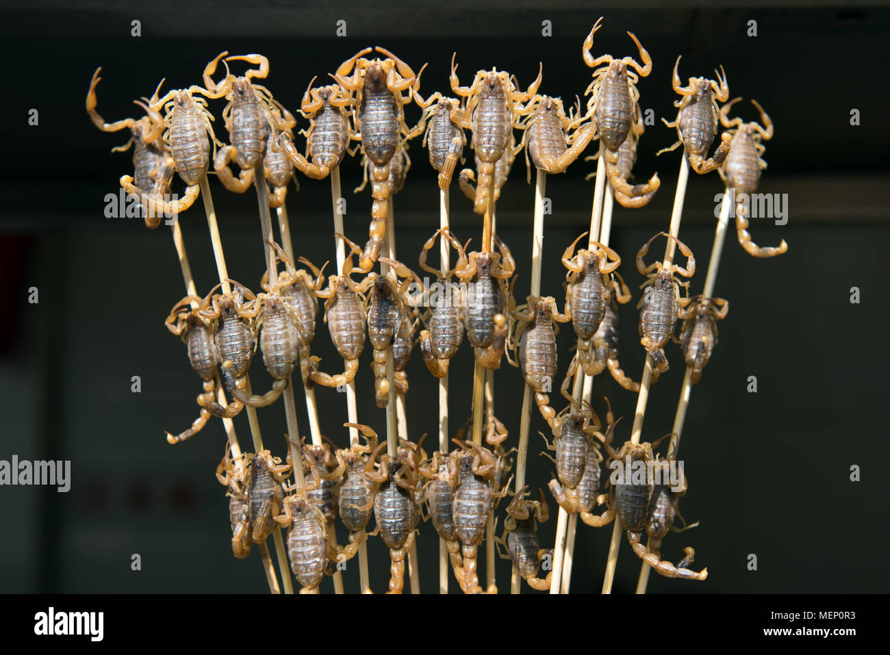 Scorpion stick hi-res stock photography and images - Alamy