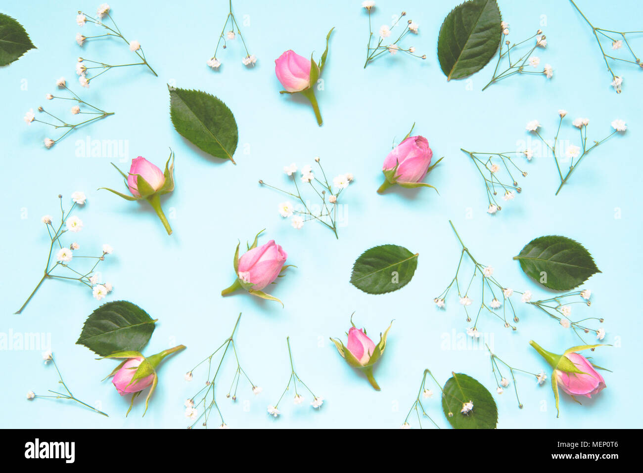 Top view of pink roses and green leaves over blue background. Abstract floral background. Stock Photo