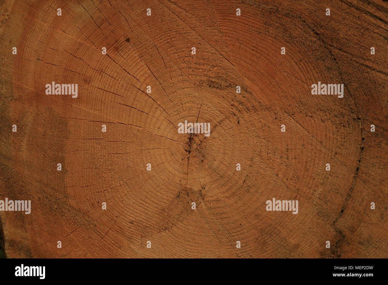 Pine wood grain texture hi-res stock photography and images - Alamy