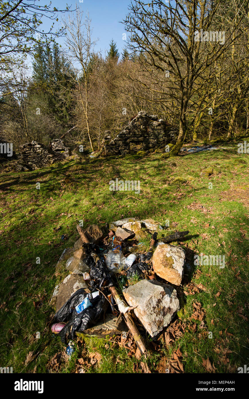 Rubbish left behind from people who have wild camped in the Coed y Brenin (Kings Forest) in Snowdonia National Park, away from official campsites Stock Photo