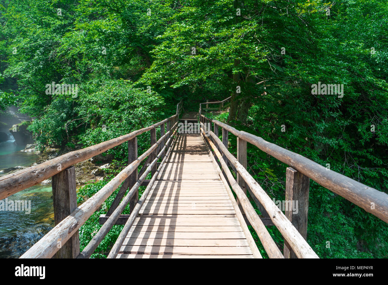 Wooden pedestrian bridge over river in green forest, Triglav national park, Slovenia, Alps, Europe. Beautiful scenery. Summer landscape. Adventure con Stock Photo