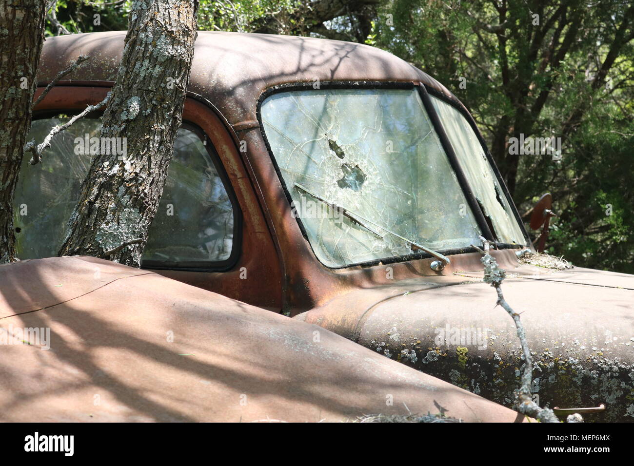 Rusty old truck in overgrown junkyard Stock Photo