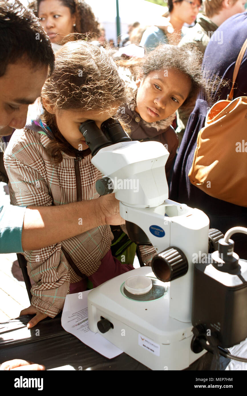 Atlanta, GA, USA - March 28, 2015:  A young student looks through a digital microscope at the Atlanta Science Fair at Centennial Park in Atlanta. Stock Photo