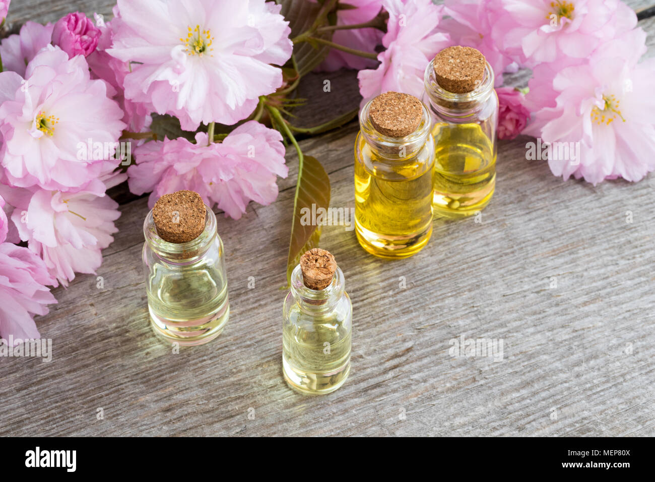 Bottles of essential oil with pink japanese kwanzan cherry blossoms