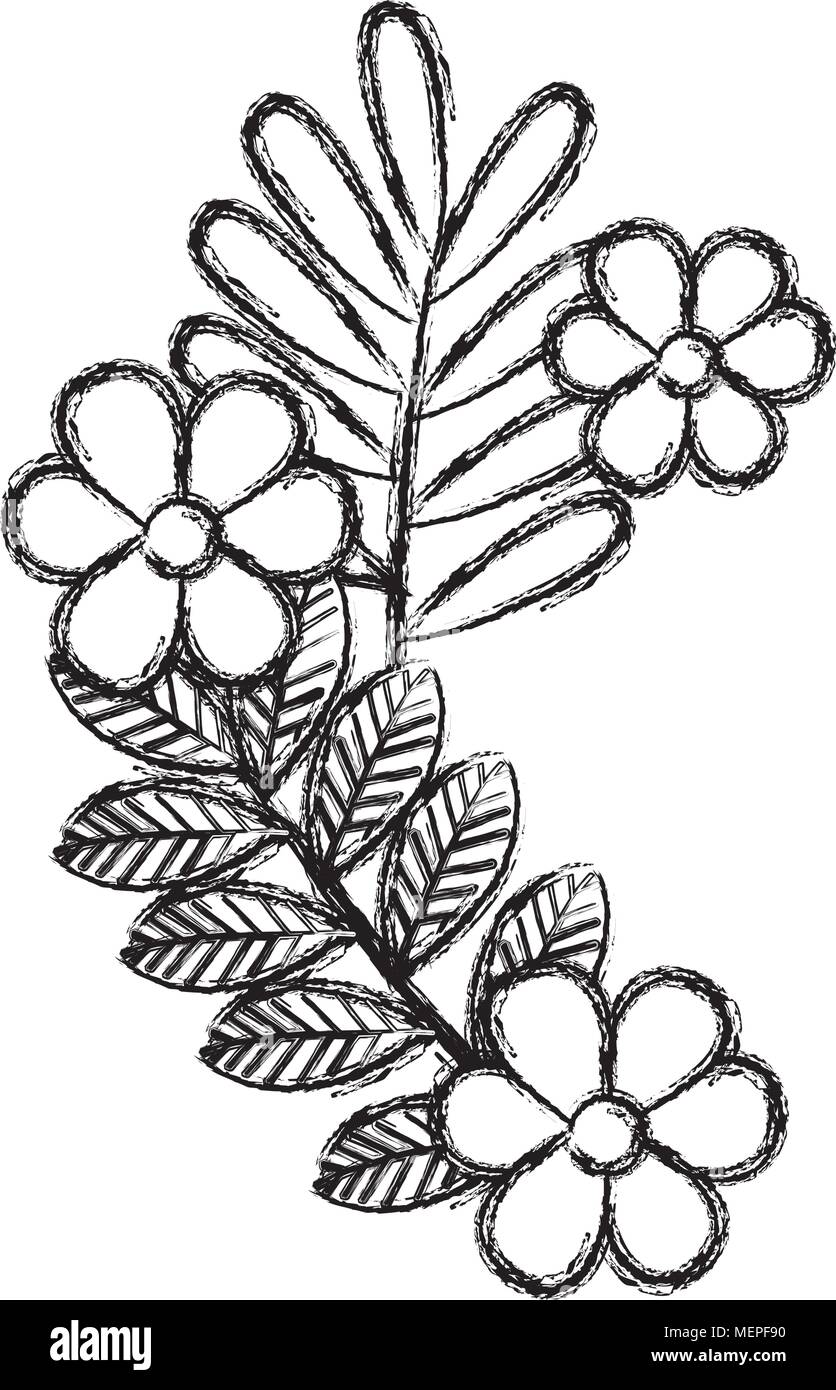 flowers and leafs decorative icon Stock Vector Image & Art - Alamy