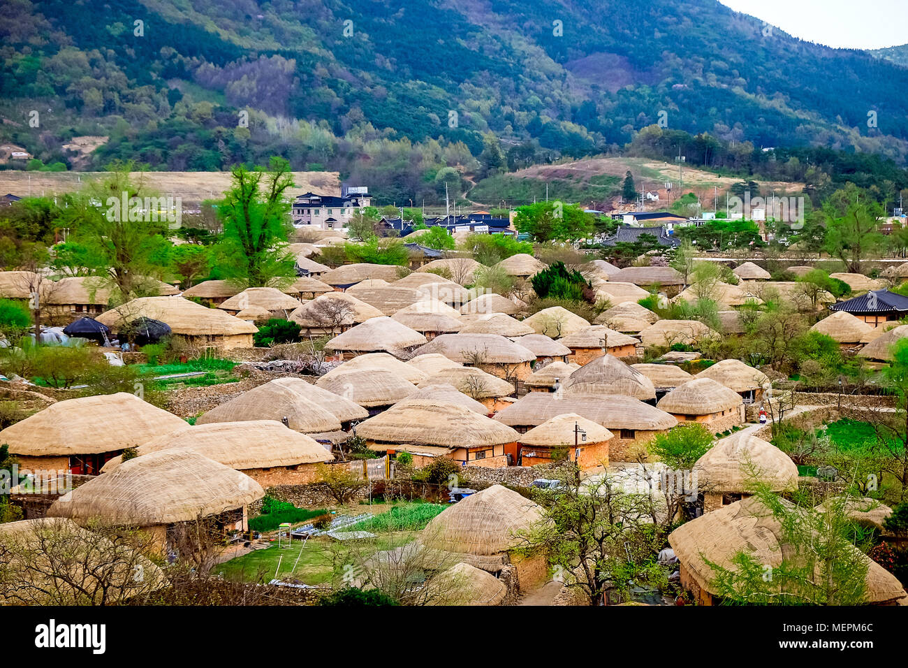 Traditional korea living hi-res stock photography and images - Alamy