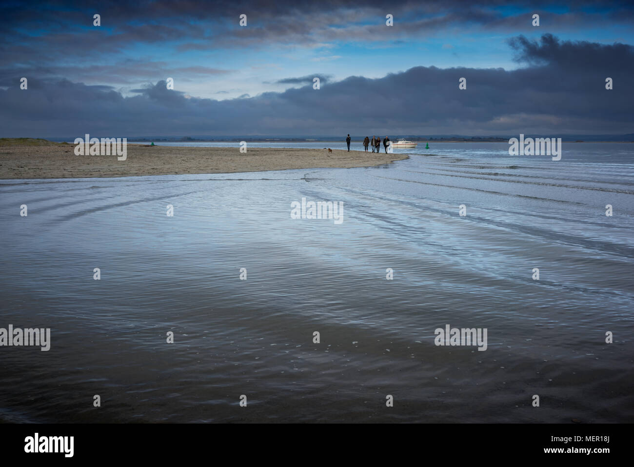 West wittering beach birds hires stock photography and images Alamy