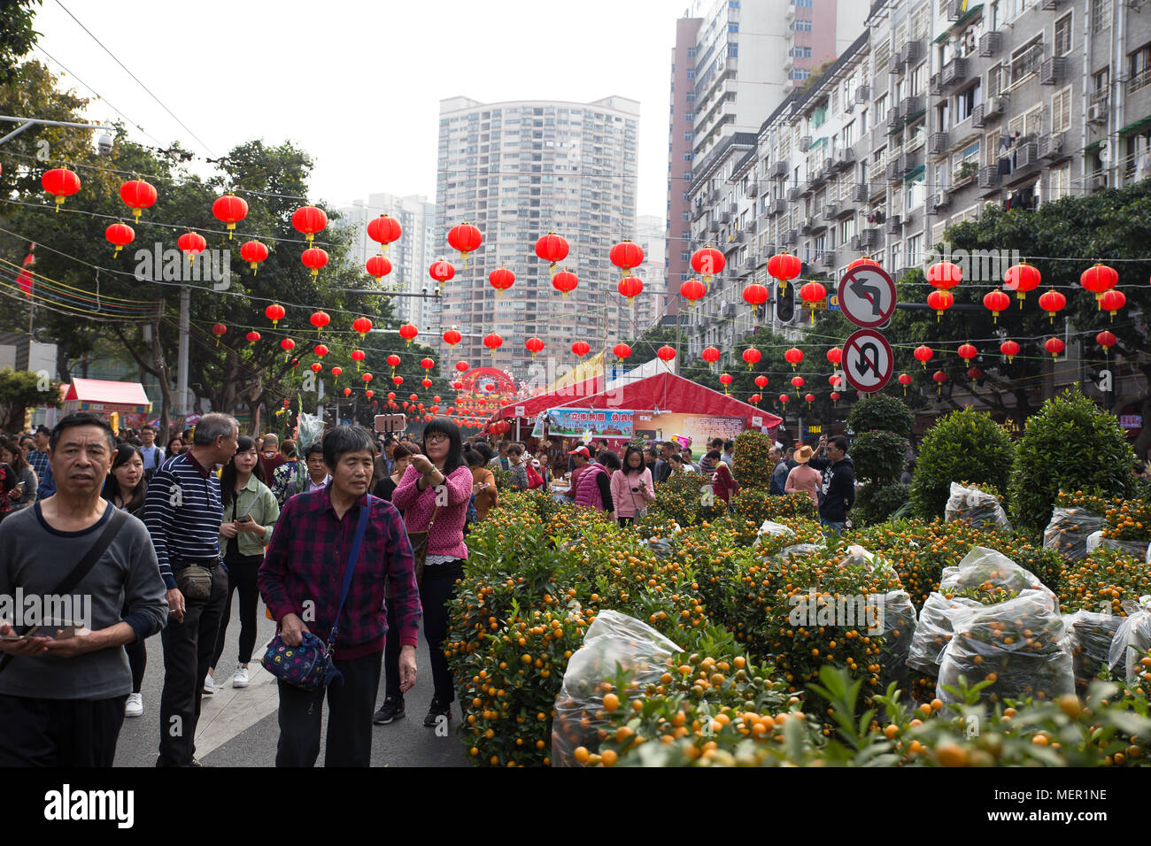 Guangzhou,China Feb,15,2018Peoples shopping in flower market before