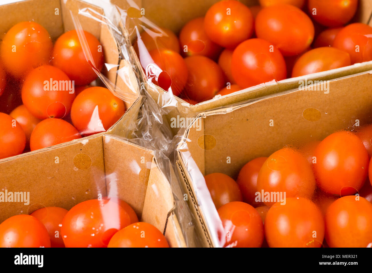 ripe cherry tomatoes packages in box and plastic close up and isolated on white background Stock Photo