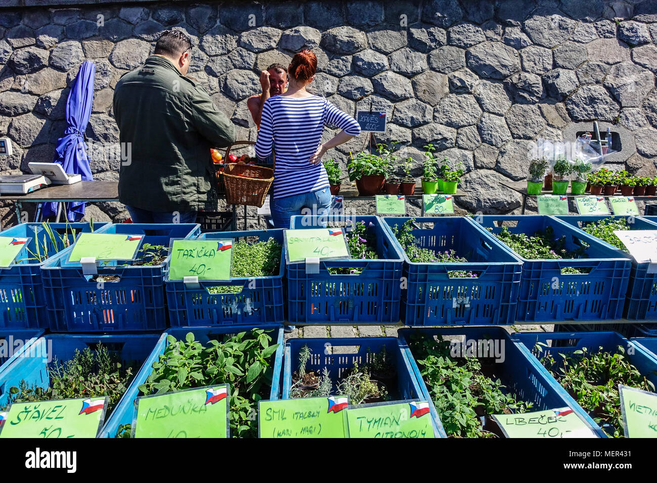 Herbs at Naplavka, Farmers Market, Prague, Czech Republic Stock Photo