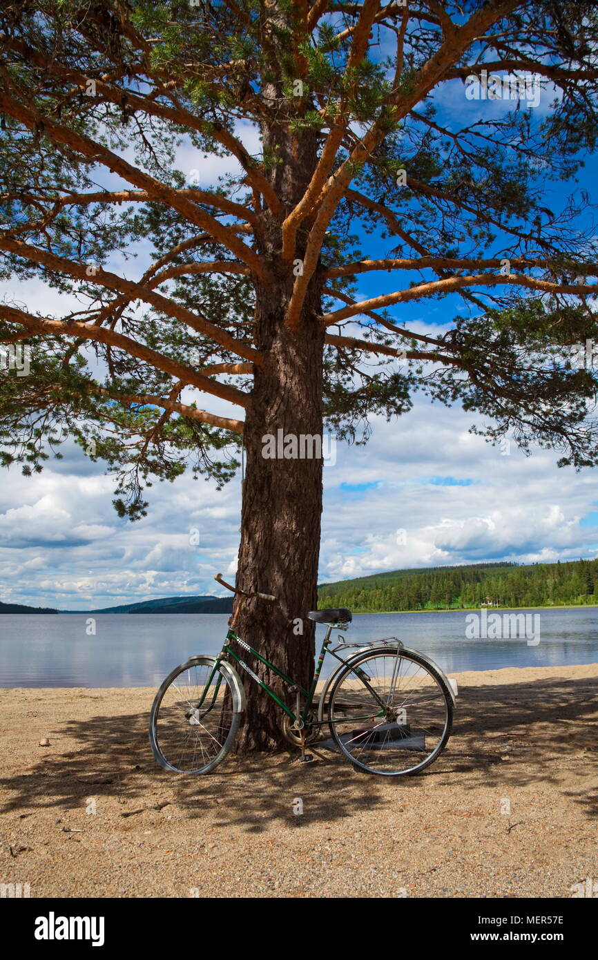 A glassy lake with sandy beach lies amidst vast forests in northern Sweden. Stock Photo