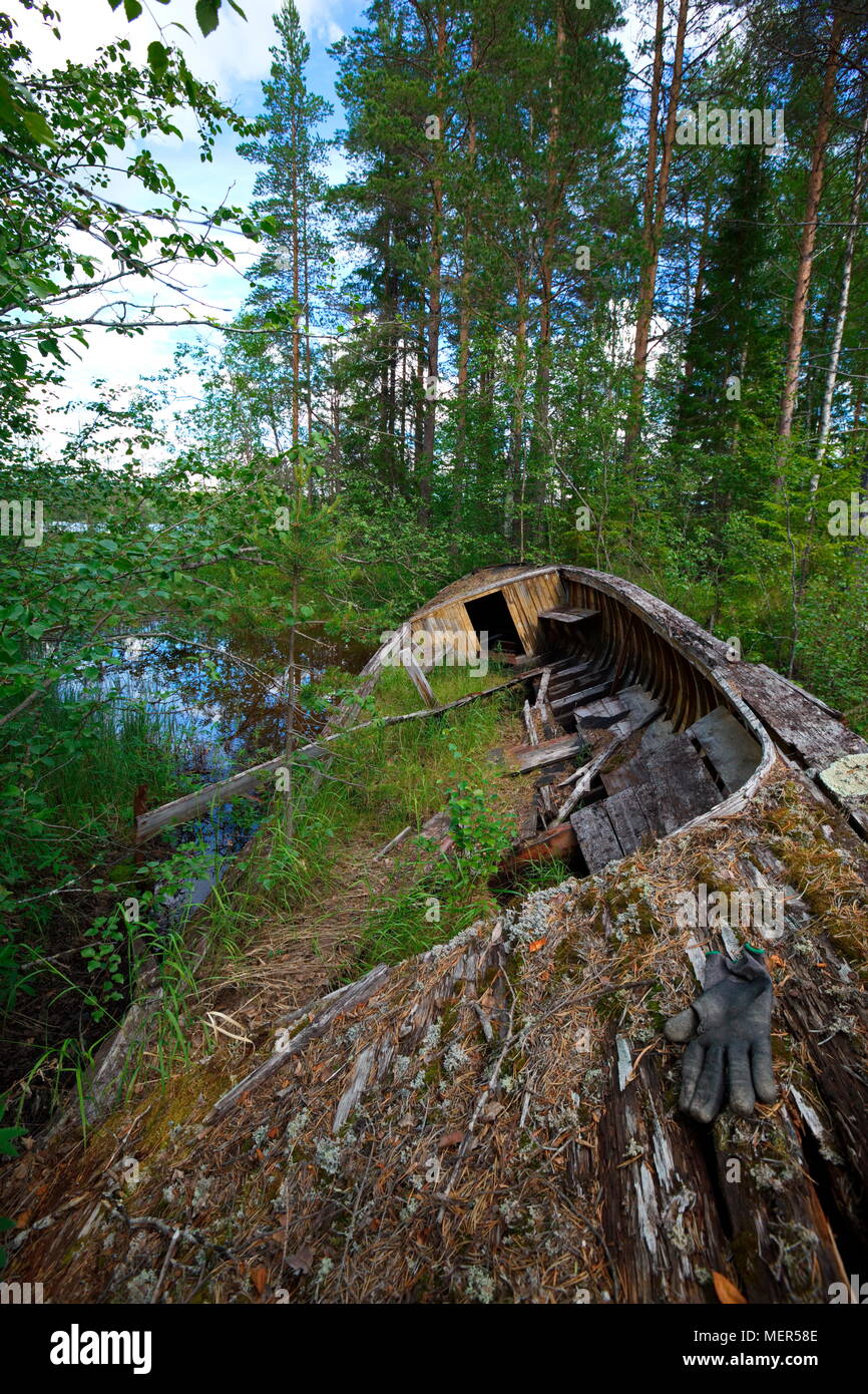 An old wooden boat is decomposing at the shore of a forest lake. Stock Photo