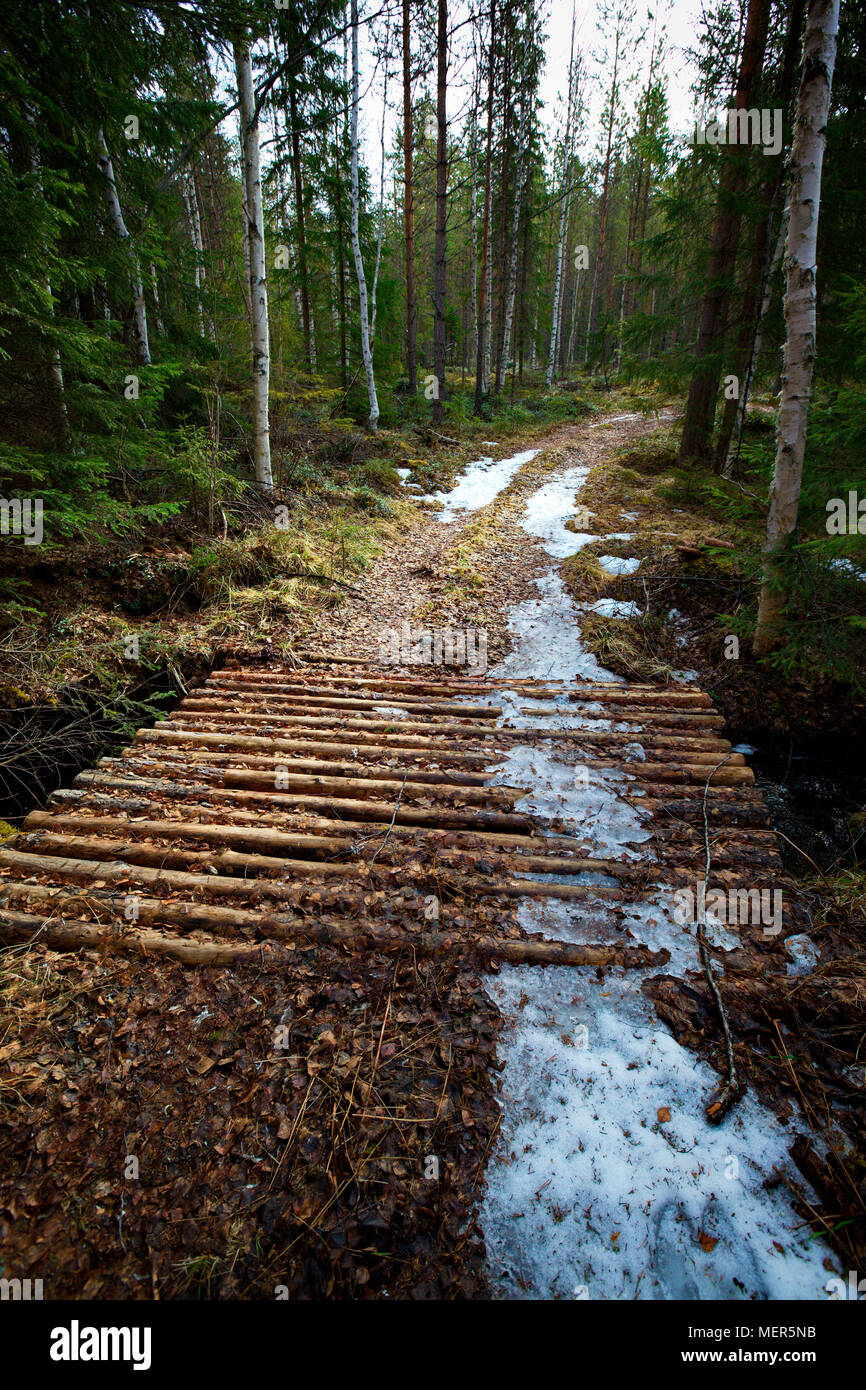 A forest track with a wooden bridge over a brook is still covered with rests of snow in early spring. Stock Photo