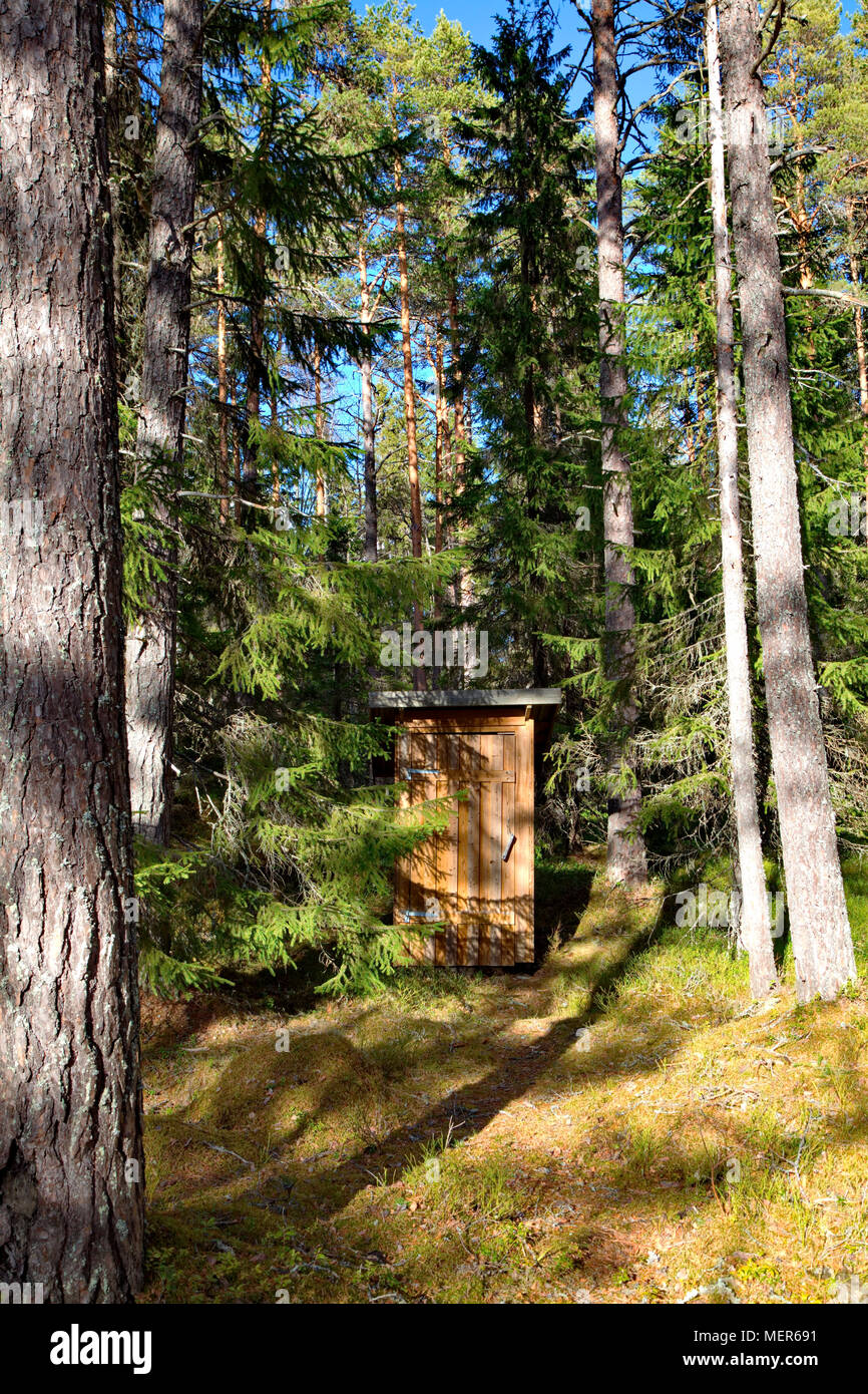 A small wooden pit toilet is standing in a sunny forest. Stock Photo