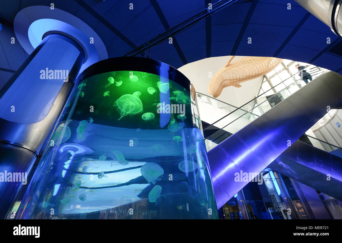 Interior views of Oceanografic, a large modern aquarium in the City of Arts and Sciences, Valencia, Spain Stock Photo