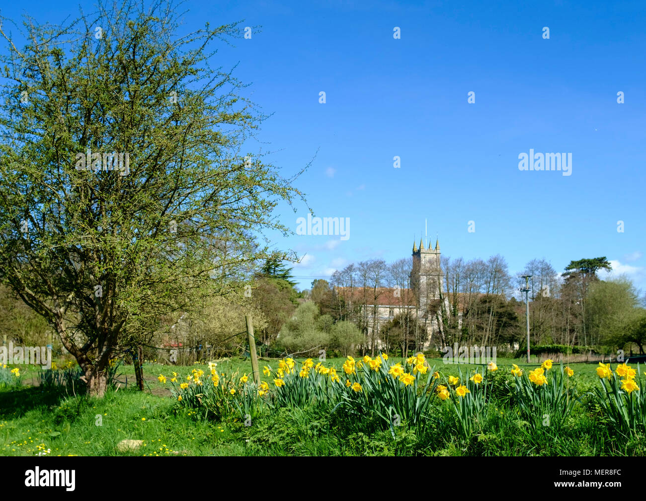 Tisbury,a wiltshire village near salisbury. England UK Stock Photo