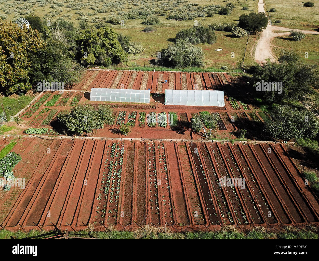 Drone footage rural vegetable garden aerial view of organic vegetable garden Stock Photo