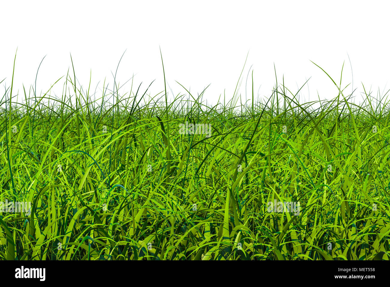Green grass, 3D rendering isolated on white background Stock Photo Alamy