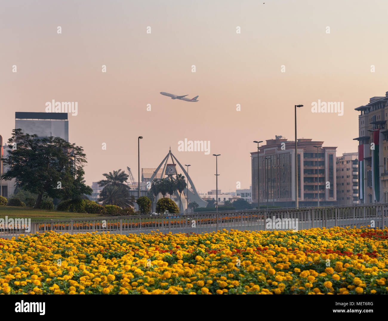 View of yellow flower bed in Deria city centre UAE Stock Photo