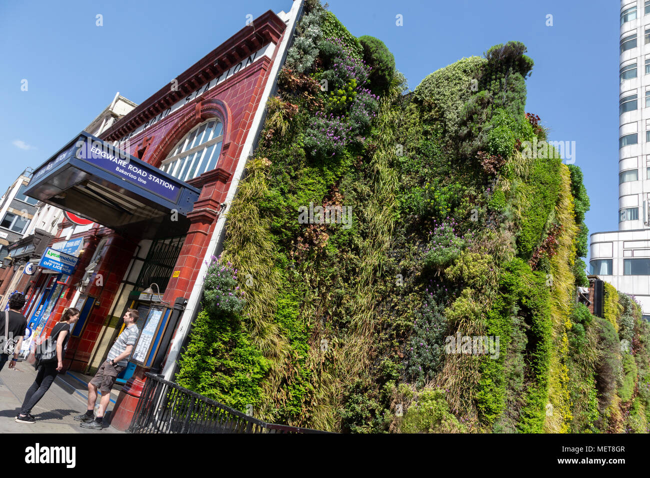 Green Wall, Edgware Road Tube Station, London, UK Stock Photo - Alamy