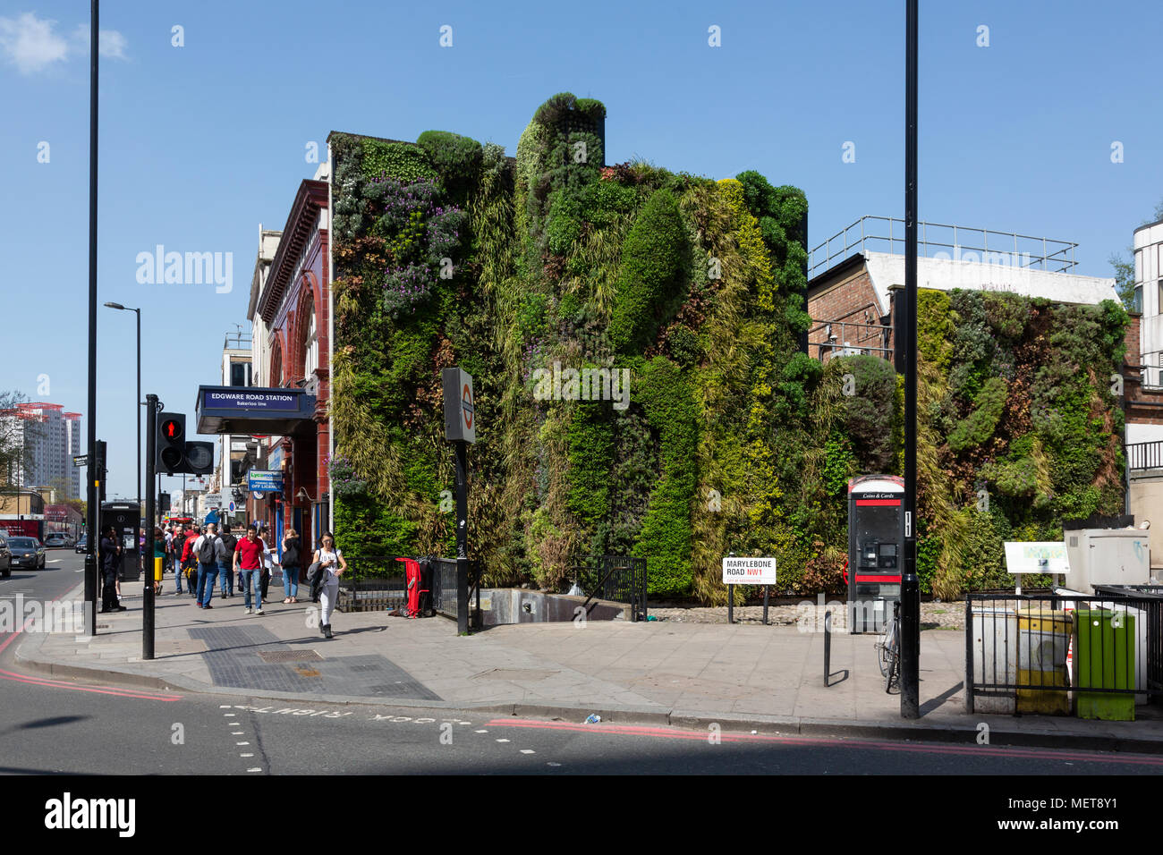 Green Wall, Edgware Road Tube Station, London, UK Stock Photo Alamy