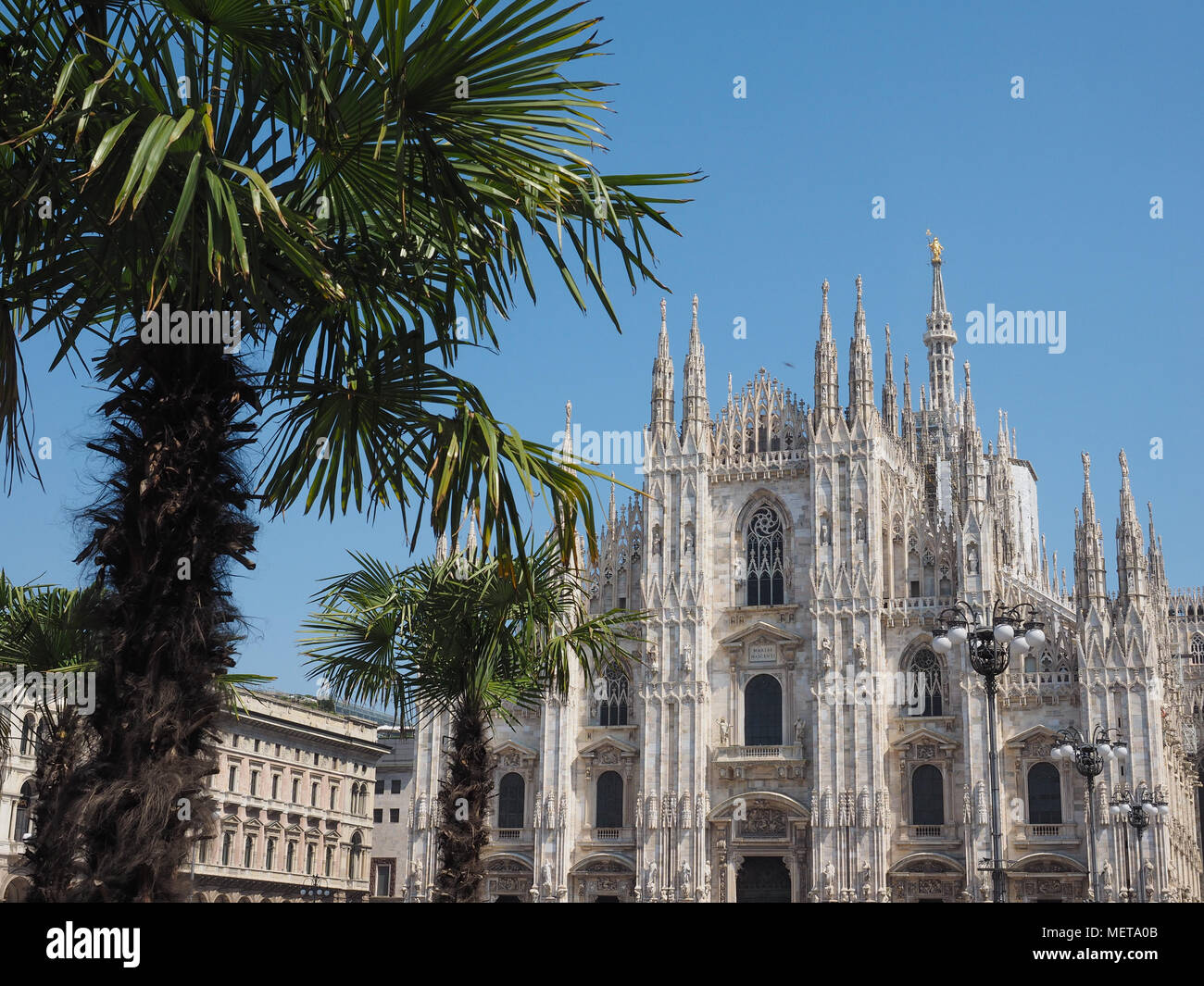 Duomo di Milano (meaning Milan Cathedral) church with palm trees in