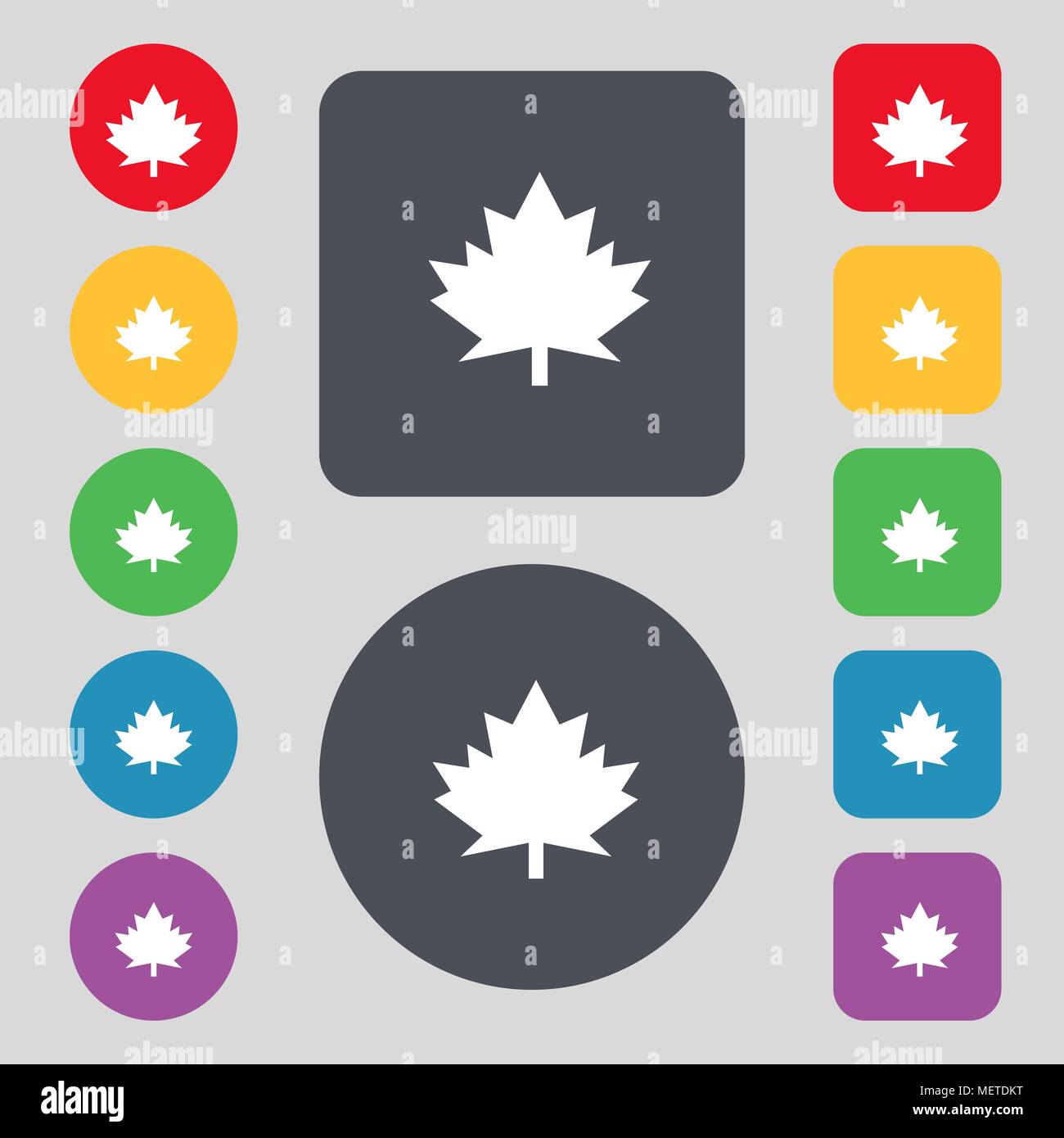 Maple leaf icon. Set colourful buttons. Vector illustration Stock ...