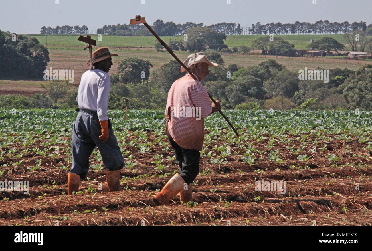 Small towns in brazil hi-res stock photography and images - Alamy