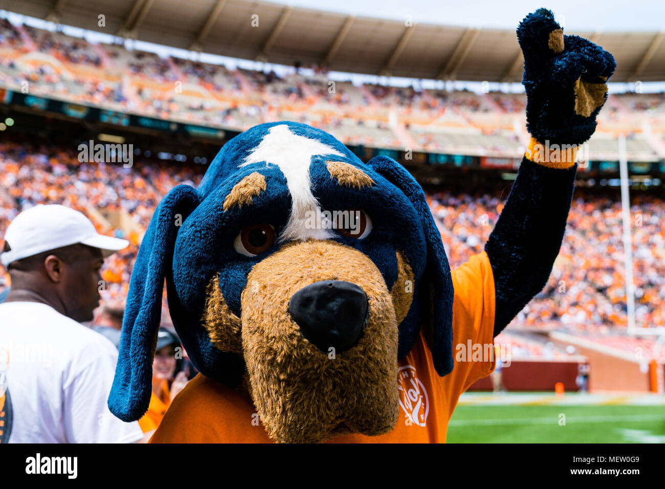April 21 2018 tennessee volunteers mascot smokey during the the
