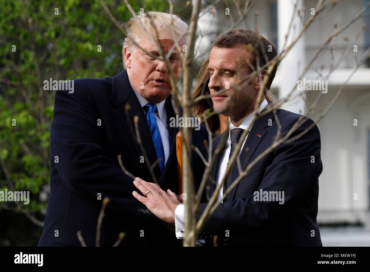 U.S. President Donald Trump and France's president Emmanuel Macron greet each other after planting a tree, a gift from the President and Mrs. Macron, on the South Lawn of the White House in Washington, DC, U.S., on Monday, April 23, 2018. As Macron arrives for the first state visit of Trump's presidency, the U.S. leader is threatening to upend the global trading system with tariffs on China, maybe Europe too. Credit: Yuri Gripas/Pool via CNP /MediaPunch Stock Photo