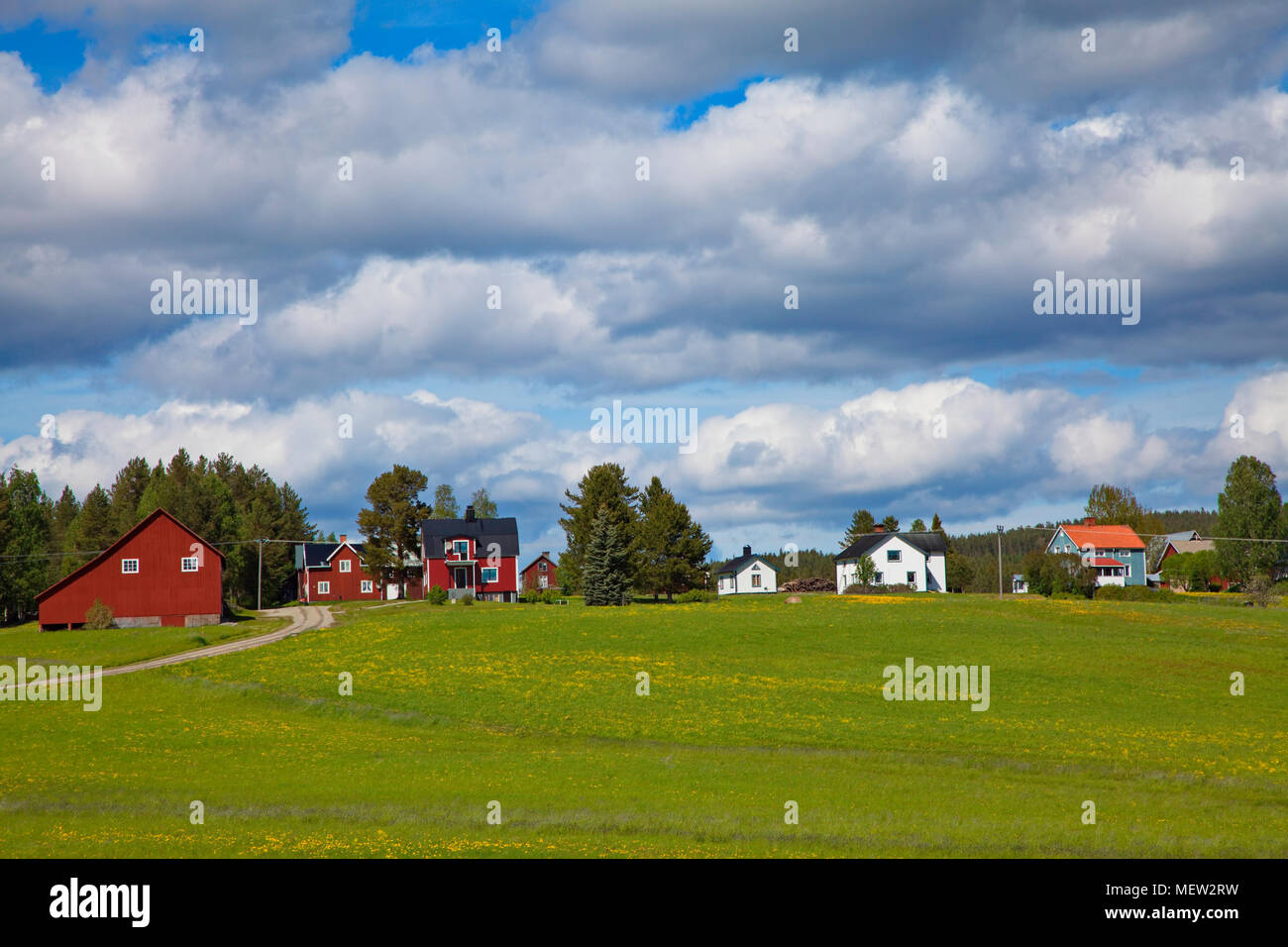 Rural Swedish village with flowering meadows on a sunny summer day under a blue sky with towering cumulus clouds, Stock Photo