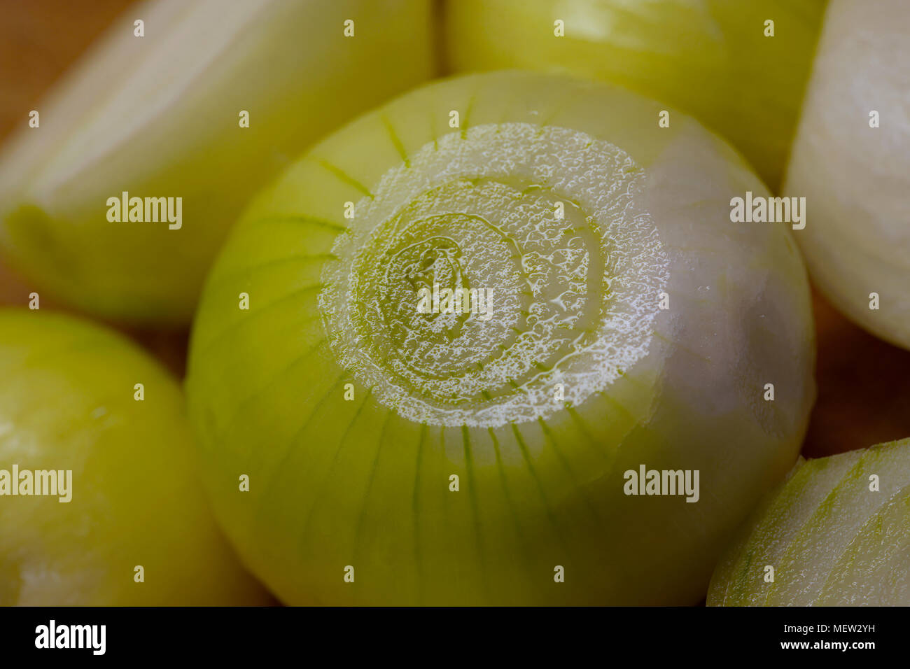 Raw onion in a kitchen Stock Photo Alamy