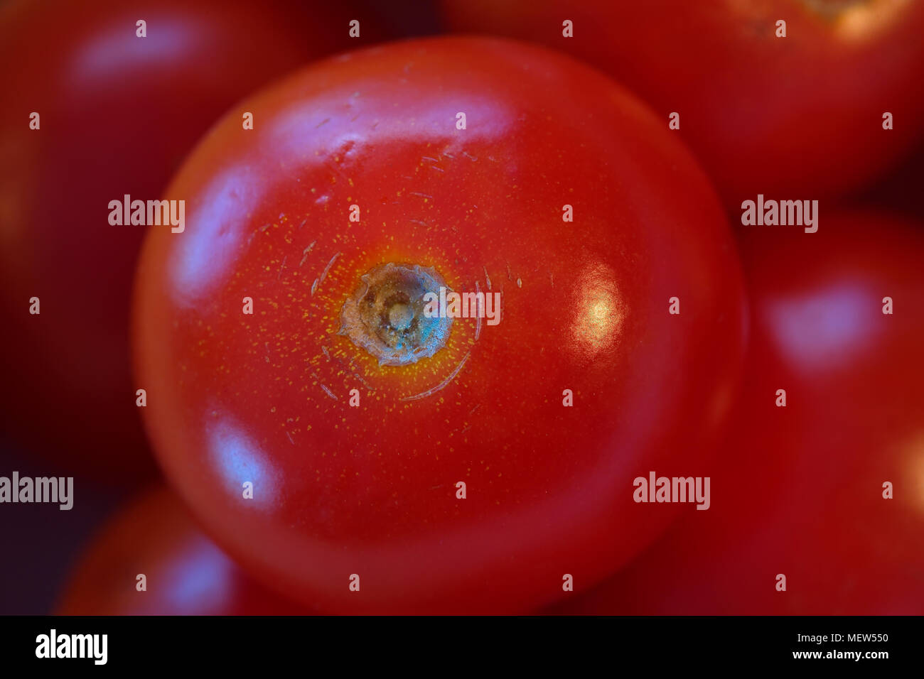 Close up of a red Tomato Stock Photo