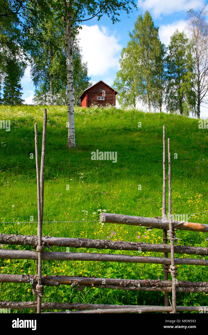 A traditional wooden farm building is standing in a flowering meadow on a sunny summer day in Sweden Stock Photo