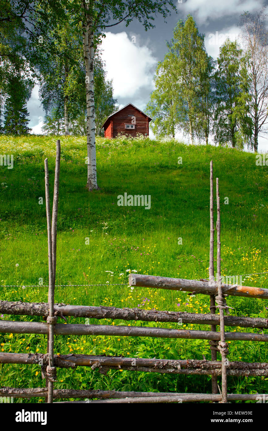 A traditional wooden farm building is standing in a flowering meadow on a sunny summer day in Sweden Stock Photo
