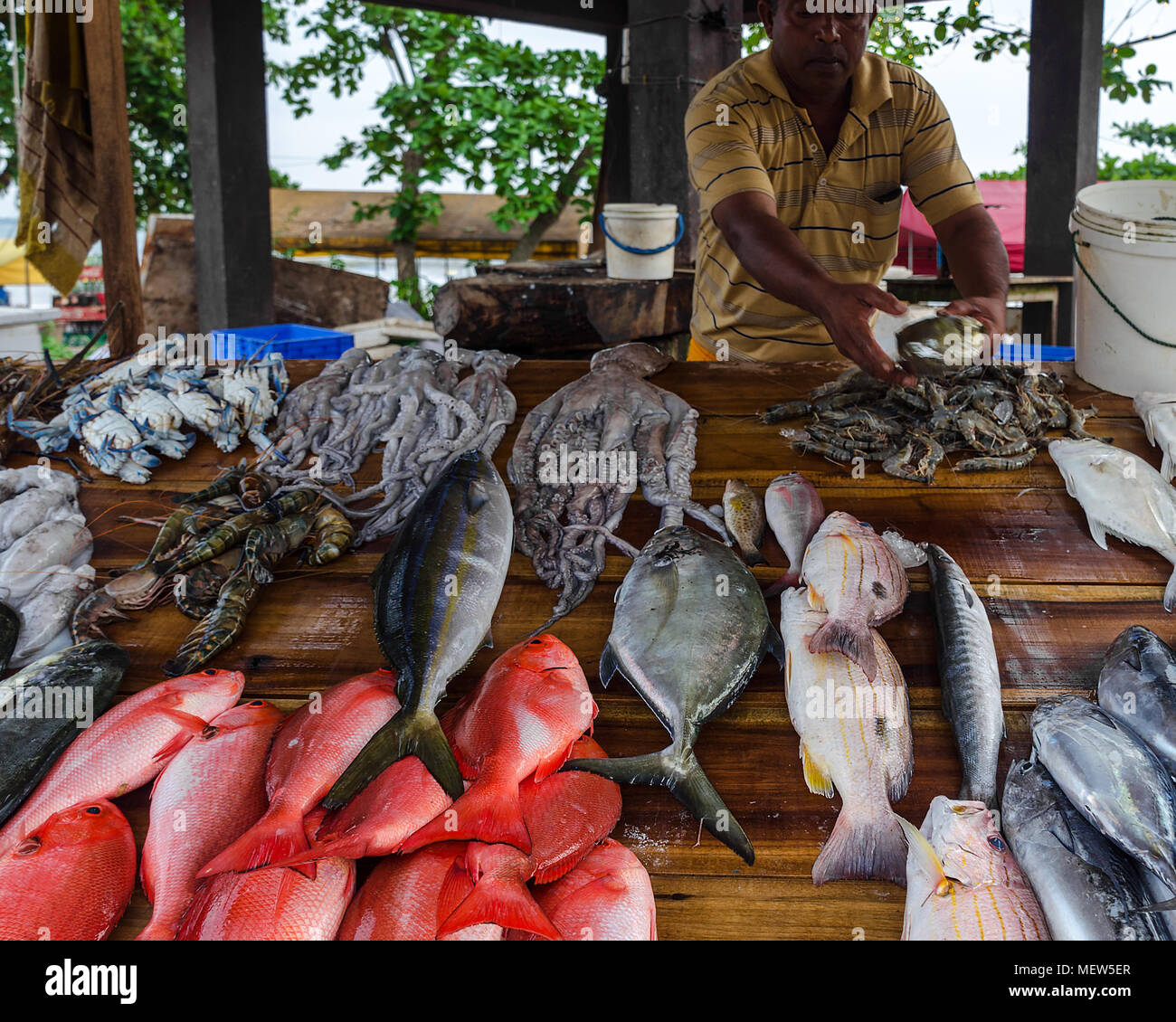 Sri Lanka, Weligama, 20171230 Seller in street fish market of Sri