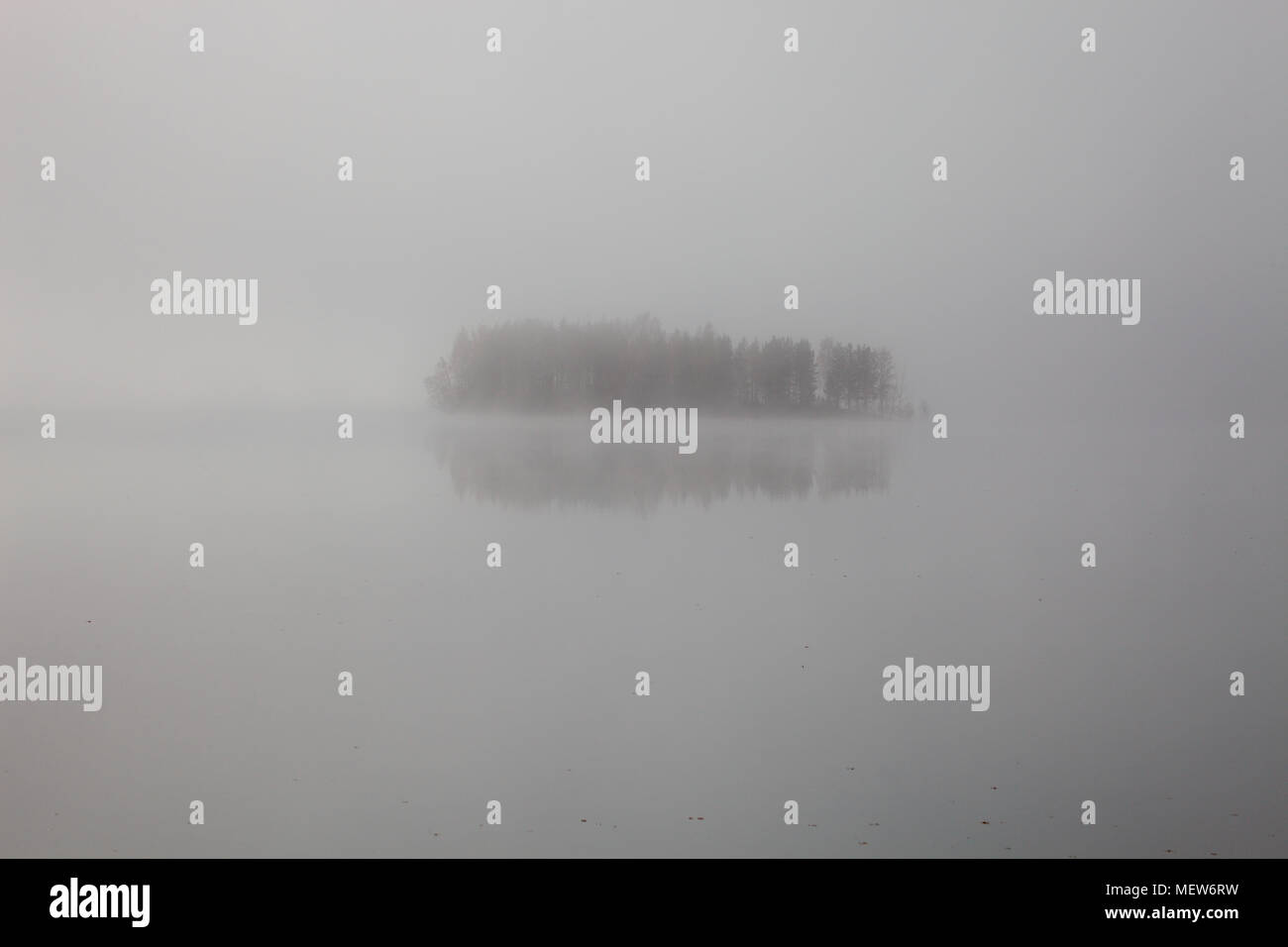 Mists are rising from a forest lake on an autumn morning Stock Photo ...