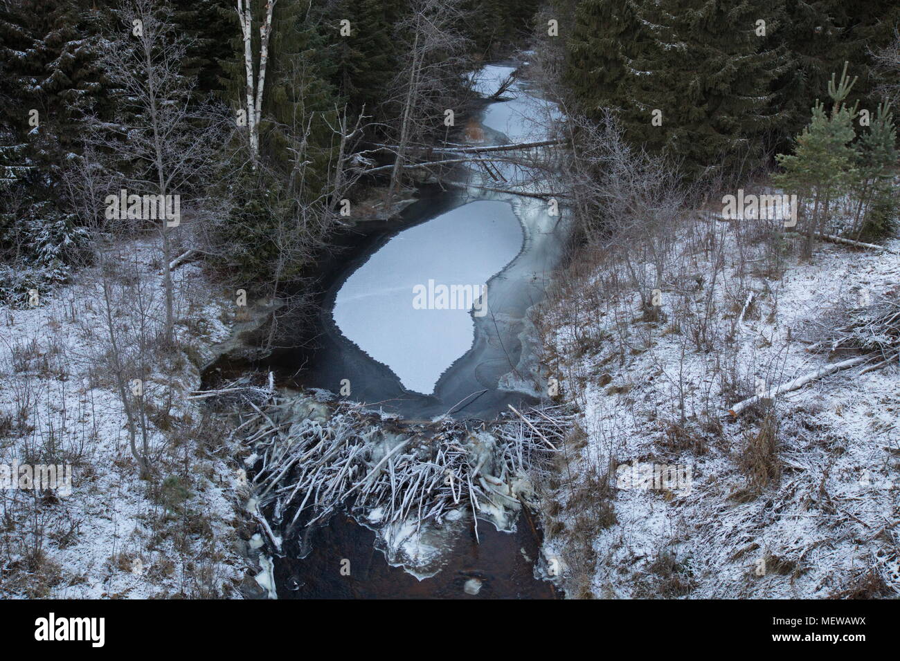 Dam with beaver hires stock photography and images Alamy
