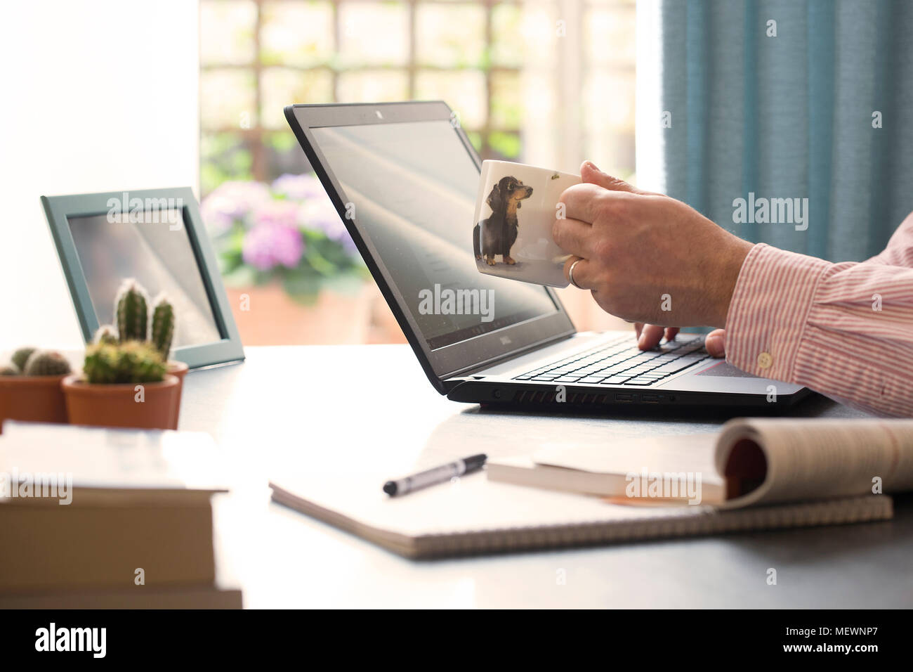 nice and comfy office environment Stock Photo