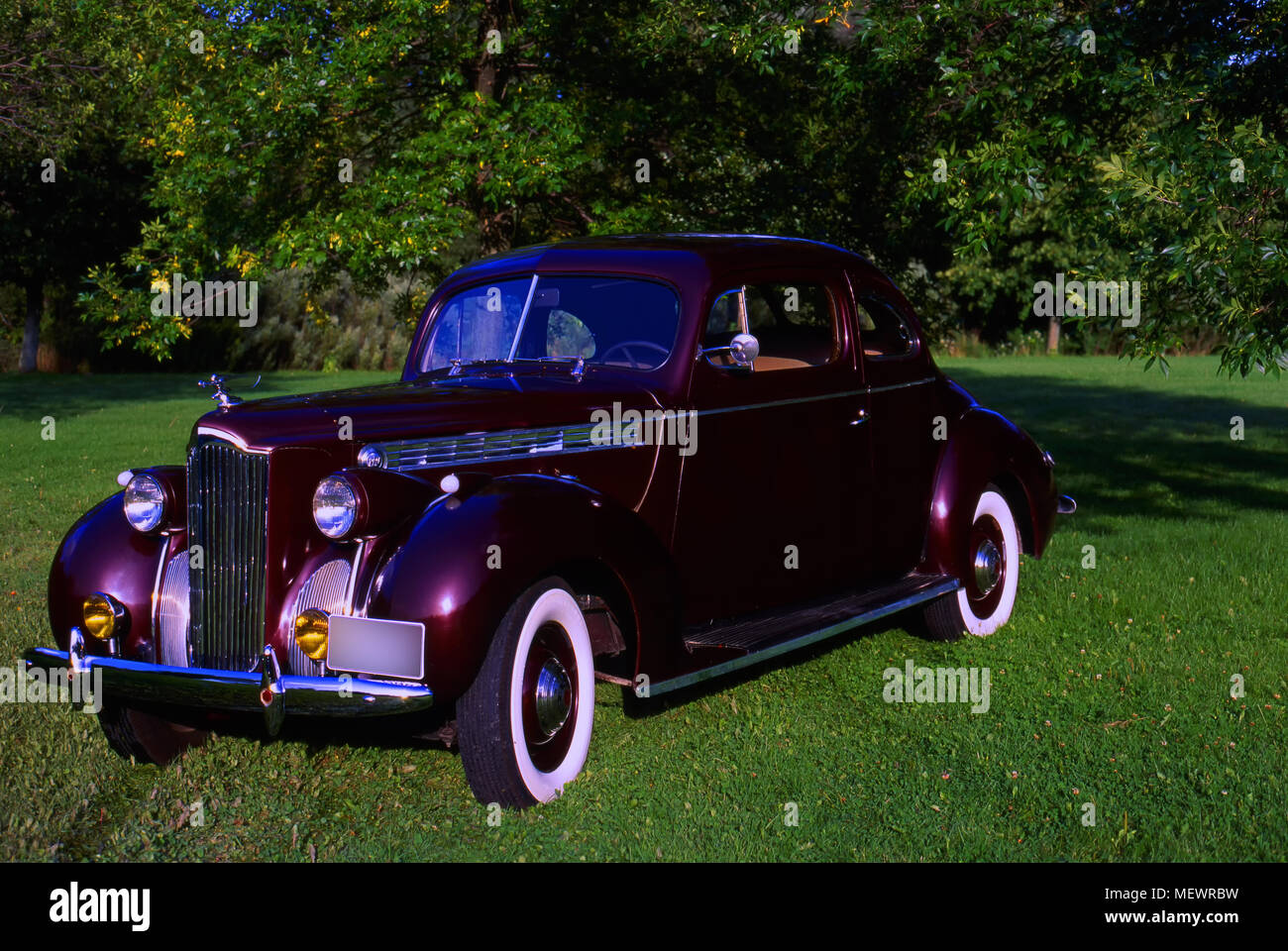 1940 Packard 110 Coupe on grass Stock Photo