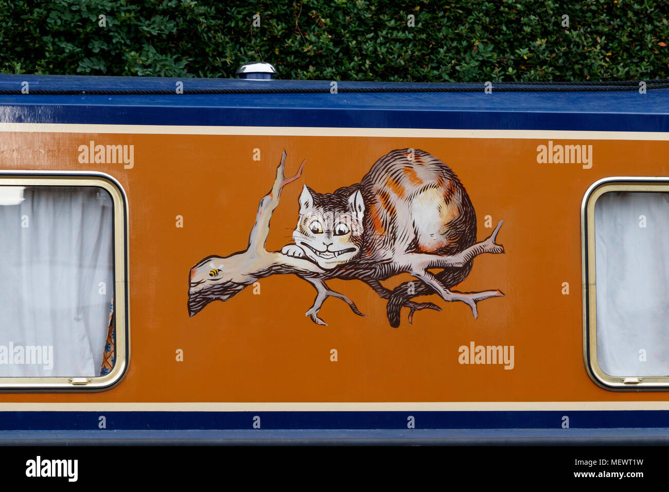 Painted image of the Cheshire cat sitting on a branch. On a narrowboat on the Leeds and Liverpool canal, Skipton, North Yorkshire, UK Stock Photo