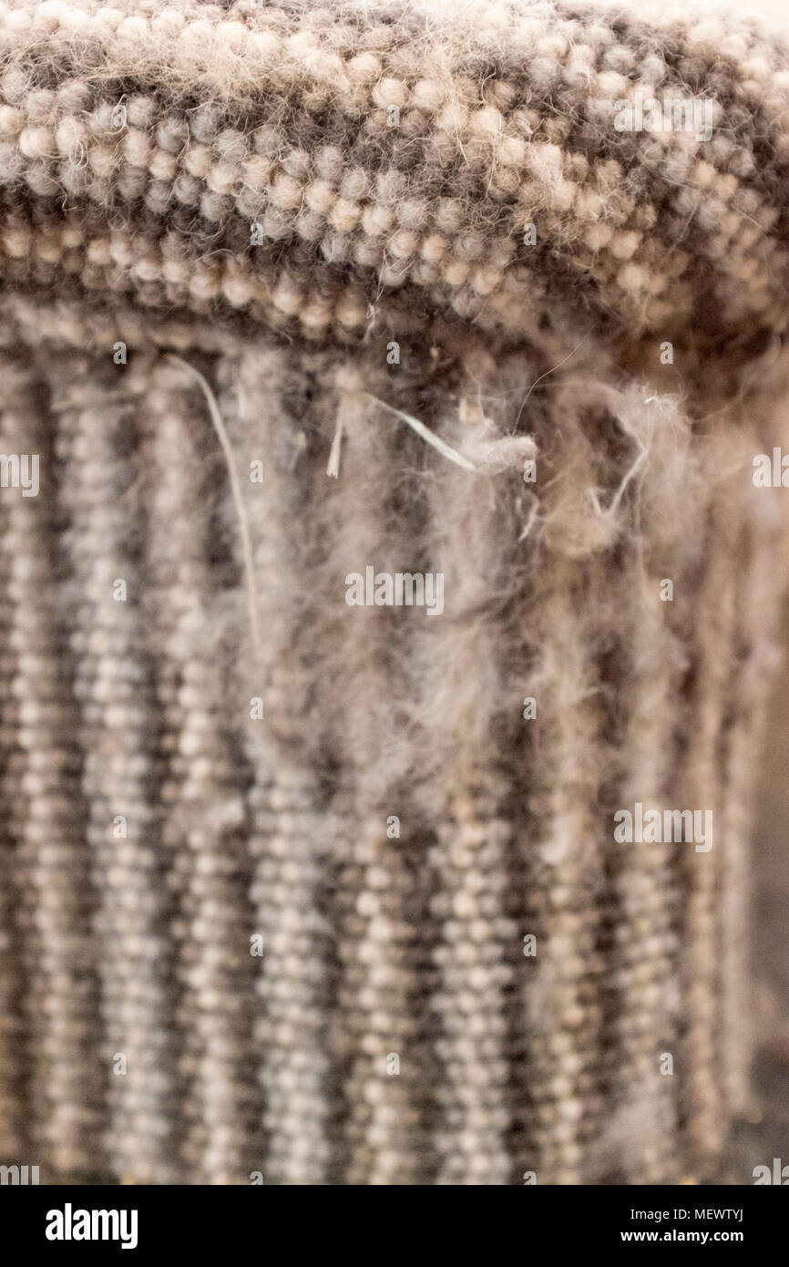 Cat scratch damage on stripy stairs carpet Stock Photo Alamy