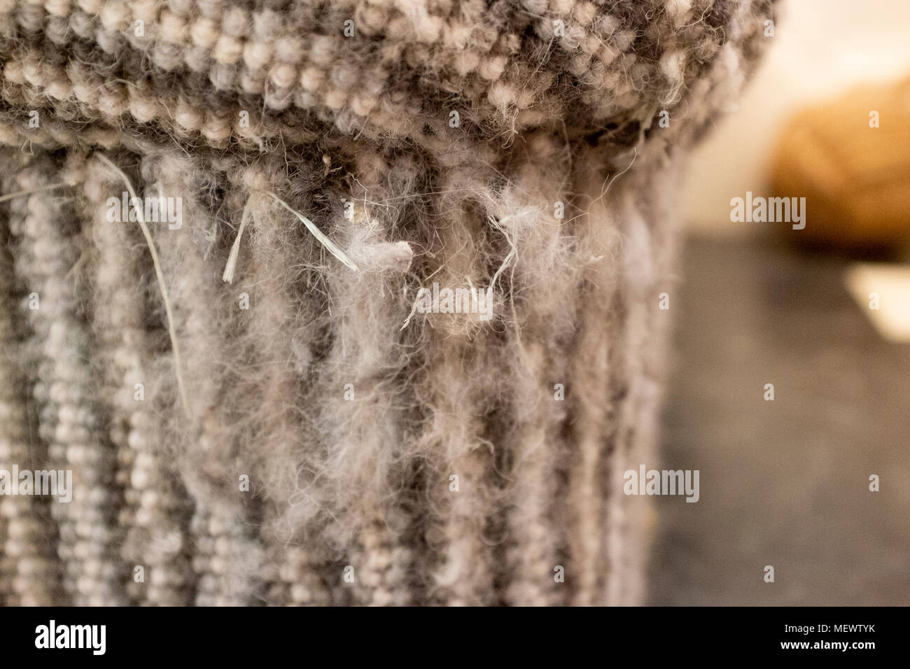 Cat scratch damage on stripy stairs carpet Stock Photo Alamy