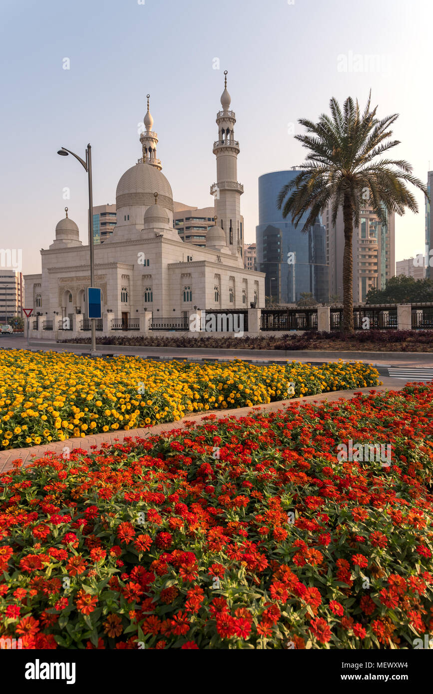 Flowers at spring time in Dubai. Stock Photo