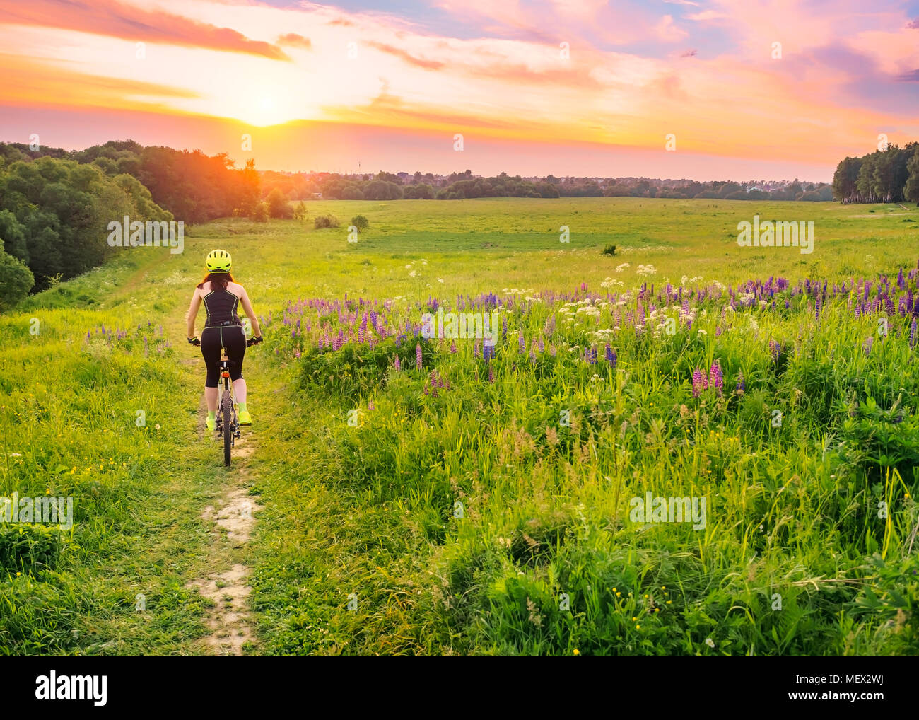 downhill on a bicycle