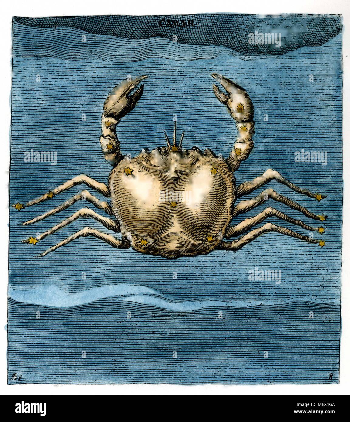 Astrology Zodiac Signs Cancer the Crab Stock Photo
