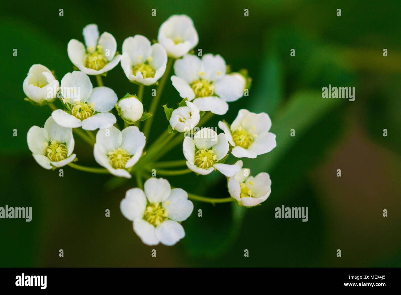 Most beautiful season hires stock photography and images Alamy